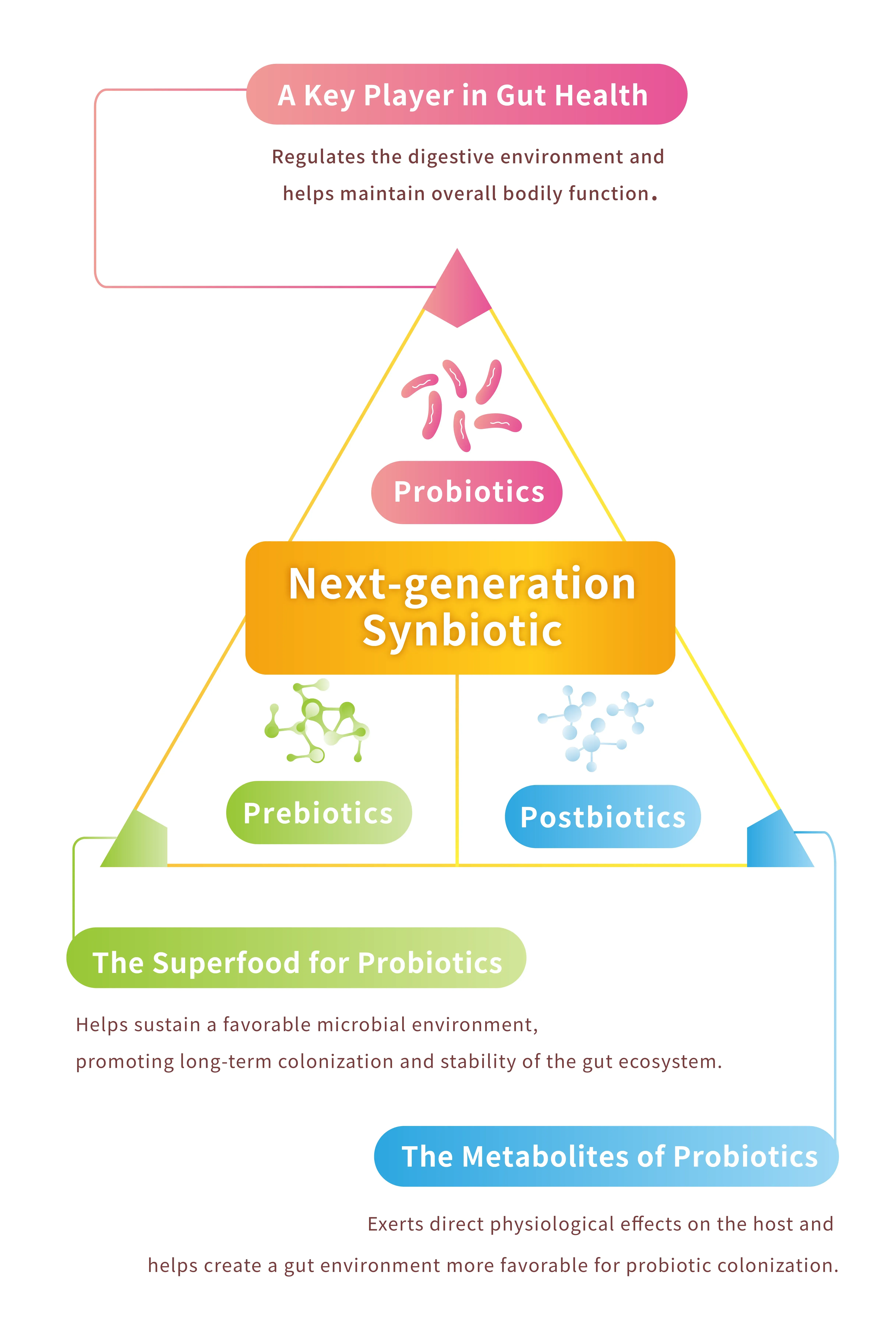 Lwhk Synbiotics 6